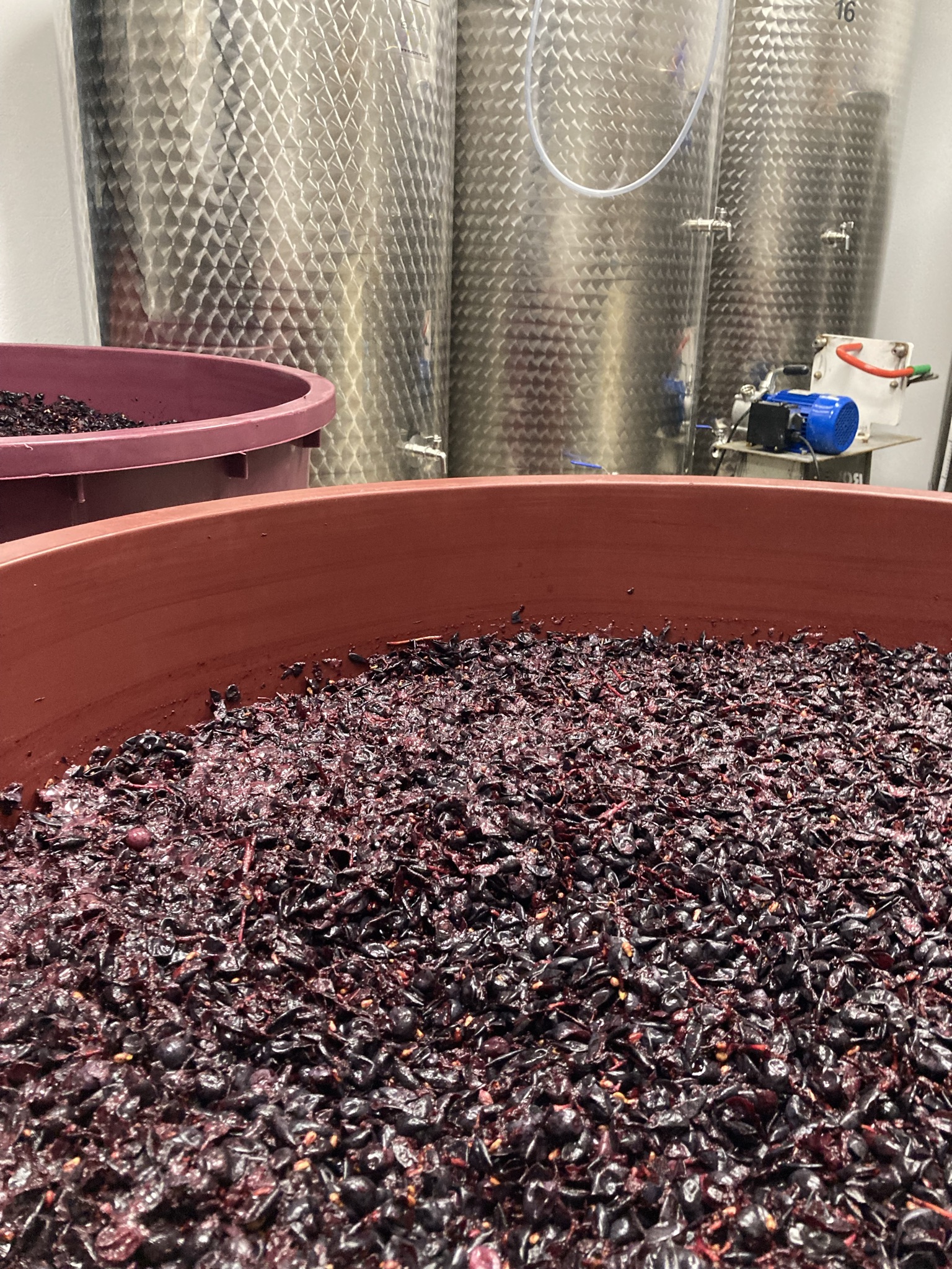 produkcja win czerwonych
